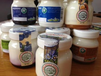 YOGURT VALTELLINA DA 250gr